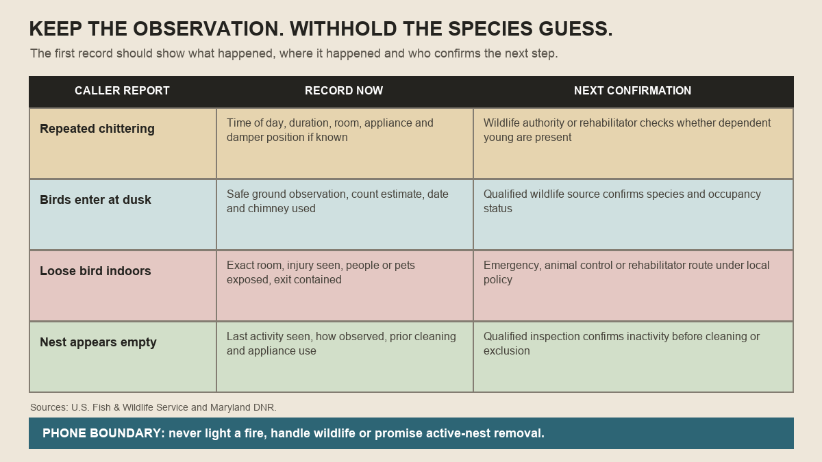 Matrix connecting chimney wildlife observations to records and qualified next-step confirmation