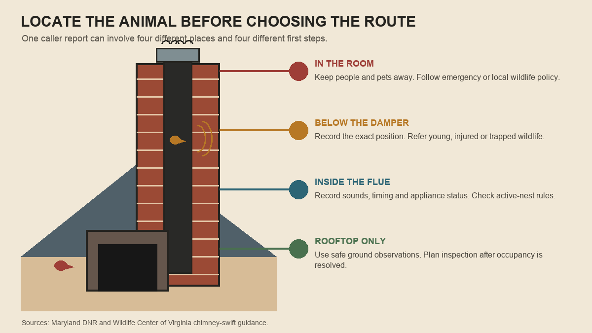Cutaway chimney map routing animal calls by the wildlife's observed location
