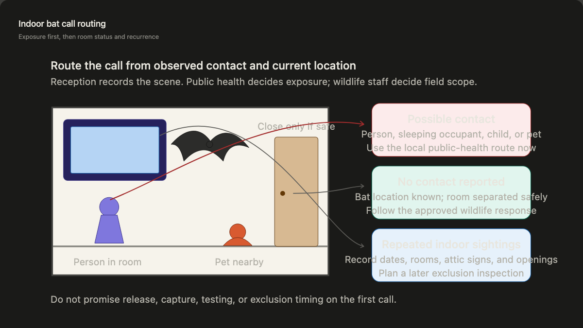 Occupied-room cutaway routing indoor bat calls by possible contact, safe room separation, and repeated sightings