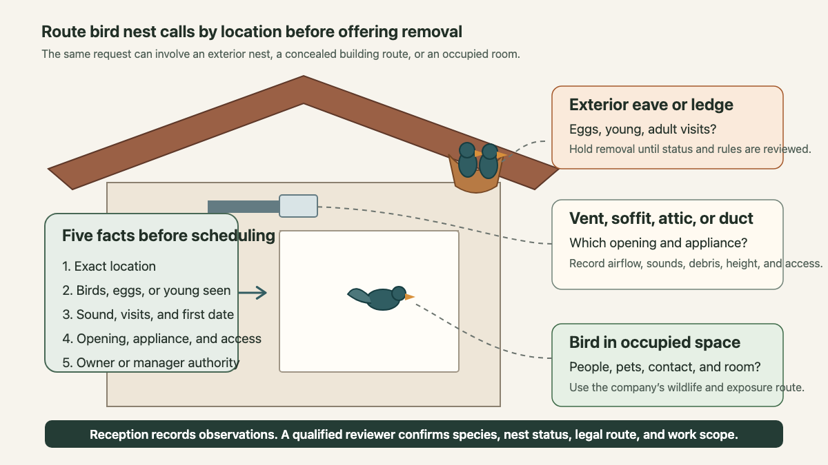 House-edge cutaway routing bird nest calls by exterior eave, concealed vent or attic, and occupied room
