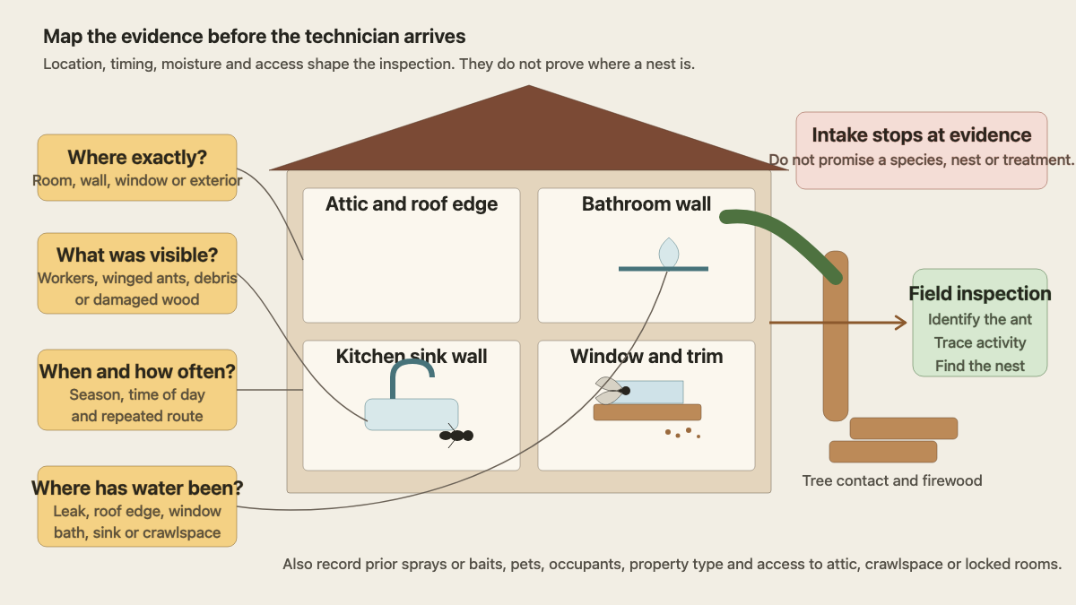 House cutaway mapping carpenter ant sightings, winged ants, wood debris, moisture history, and exterior routes to inspection zones