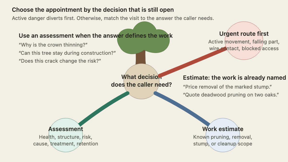 Branching route from an open tree-care question to assessment, work estimate, or urgent protocol