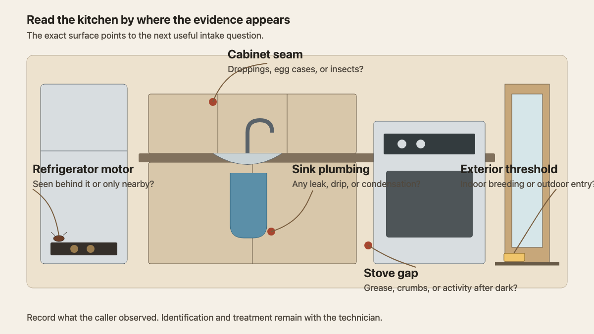 Kitchen elevation linking cockroach sightings near the refrigerator, sink, stove, cabinet, and door to intake questions