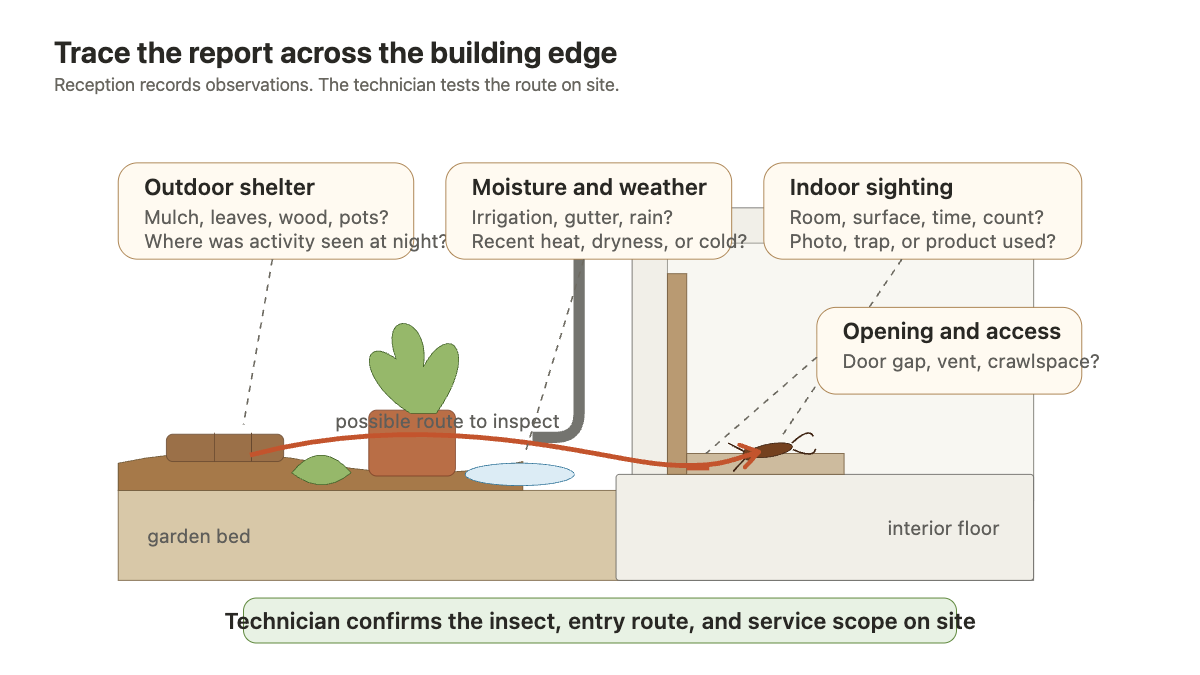 House-edge cutaway tracing an earwig report from damp outdoor shelter through a possible entry gap to an indoor sighting