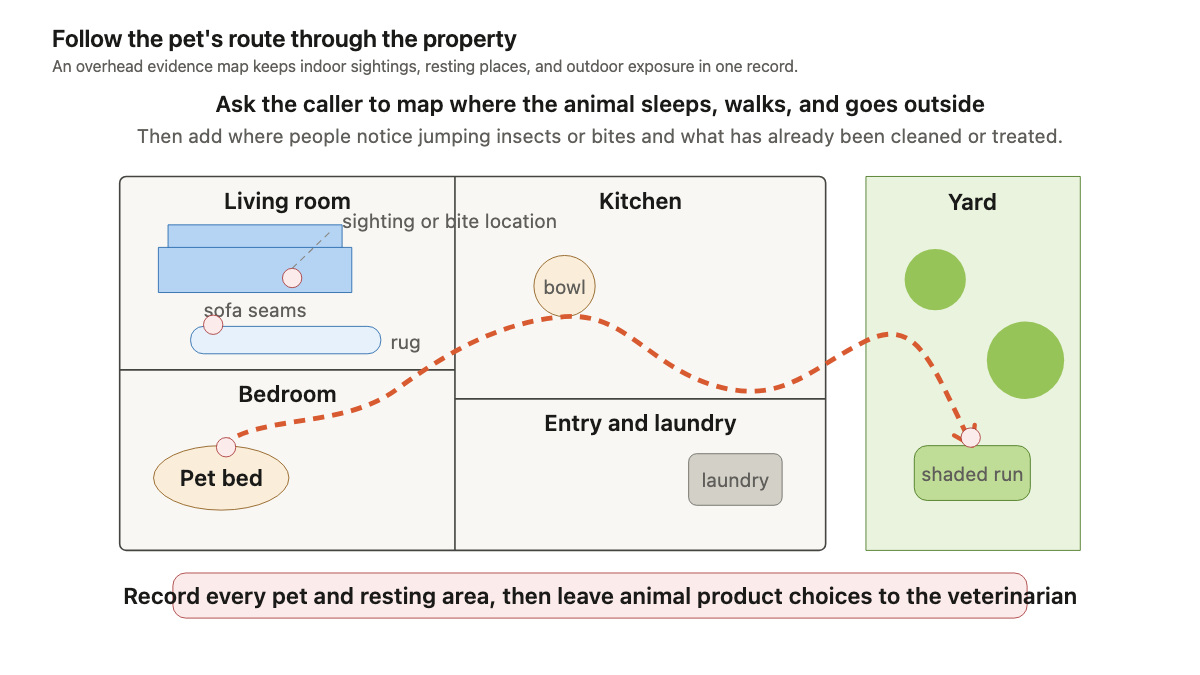 House cutaway mapping flea evidence across pet bedding, upholstered furniture, carpets, and shaded outdoor areas