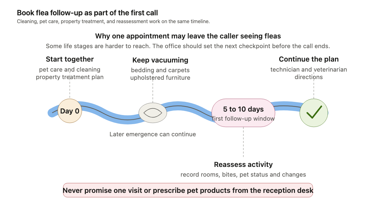 Timeline showing initial flea cleaning and pet care, possible later emergence, a 5-to-10-day follow-up window, and ongoing reassessment
