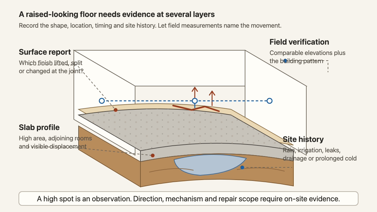 Oblique cutaway separating raised floor observations, slab profile, soil context, and field measurements