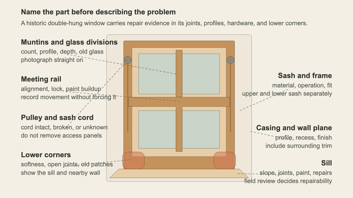 Annotated historic double-hung window identifying sash, muntins, meeting rail, pulleys, casing, sill, and lower corners