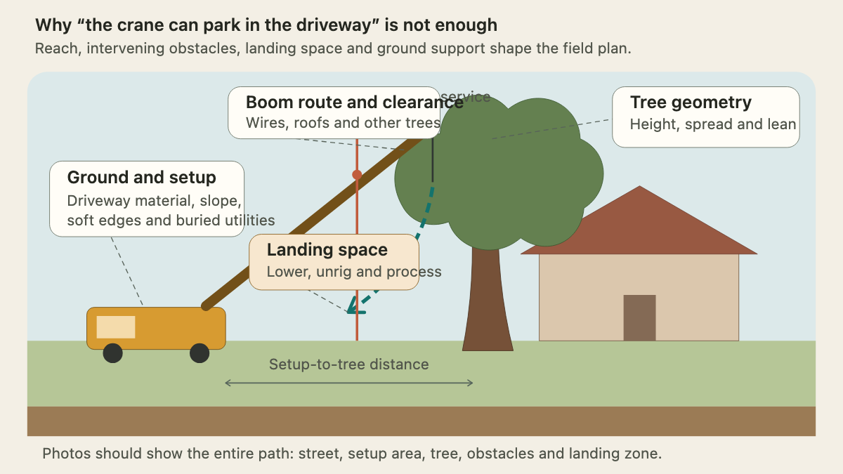 Side elevation showing a truck-mounted crane, ground layers, setup-to-tree distance, overhead service, boom route, tree, roof, and landing path