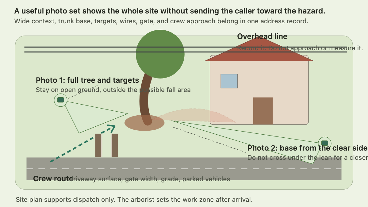 Top-down property plan showing a leaning tree, house, overhead line, safe photo positions, driveway, gate, and crew route