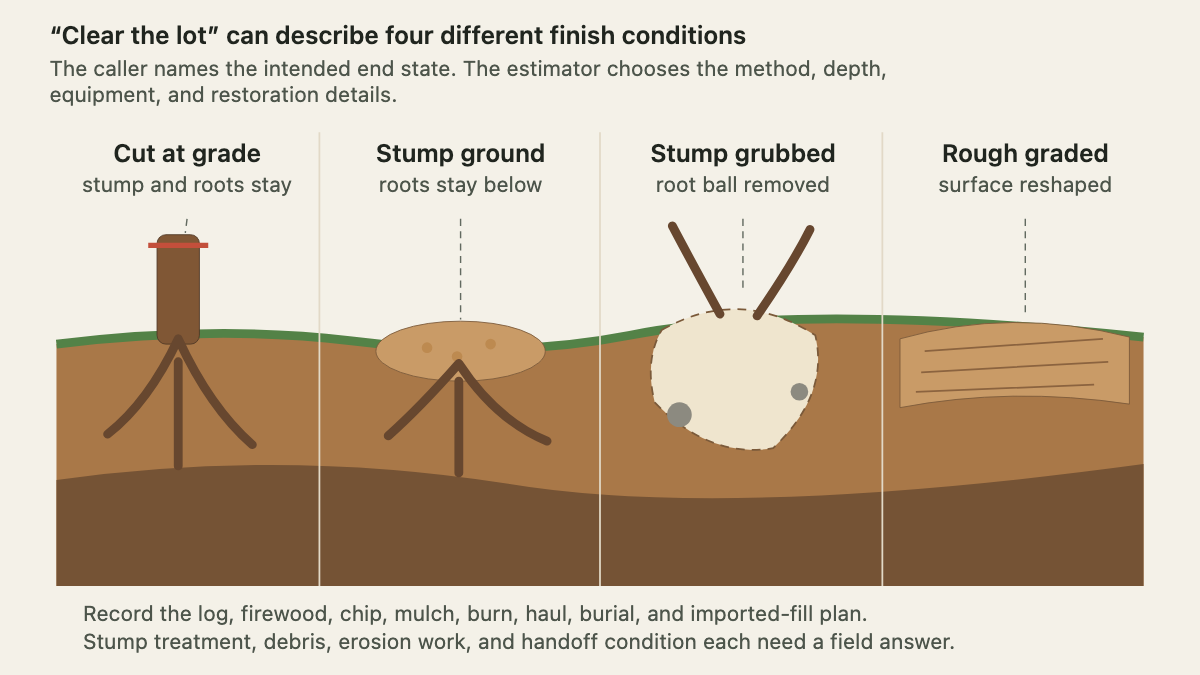 Ground cross-section showing cut stump, ground stump, grubbed root ball, and rough-graded soil conditions