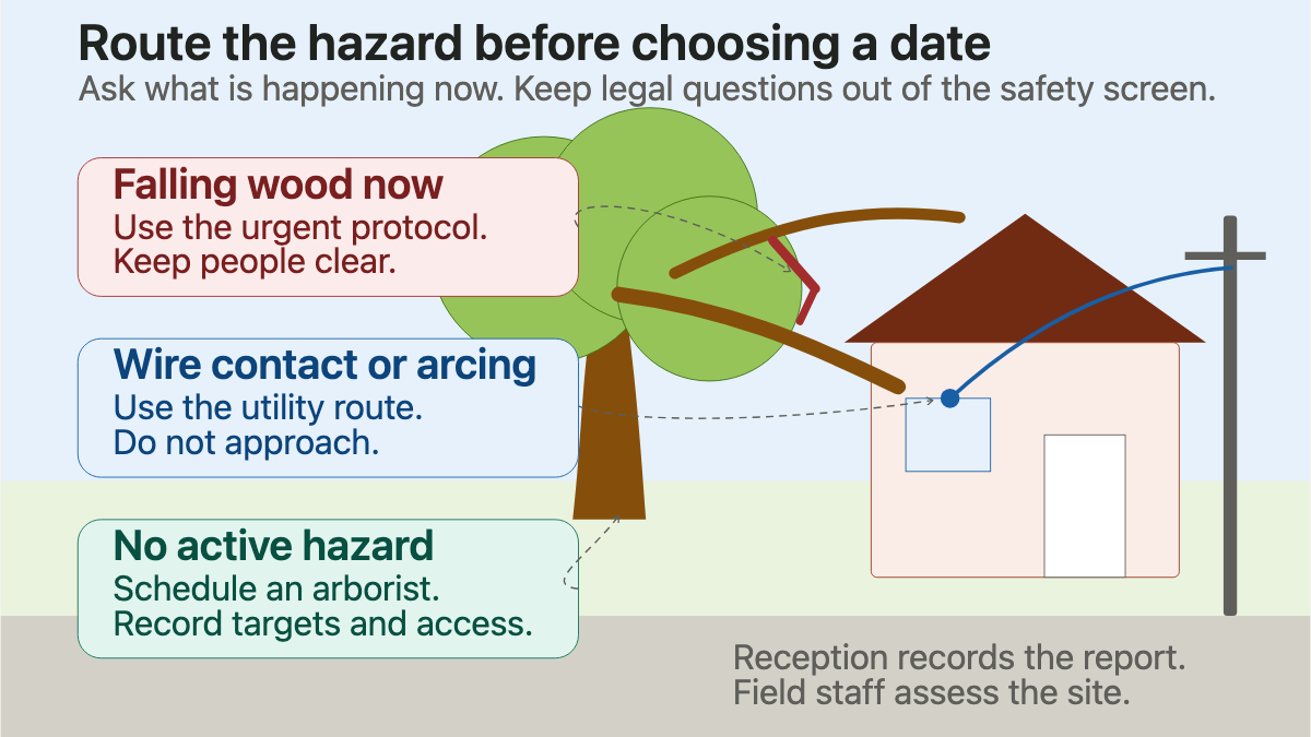 Residential tree scene showing urgent falling wood, utility-line danger, and normal arborist assessment routes