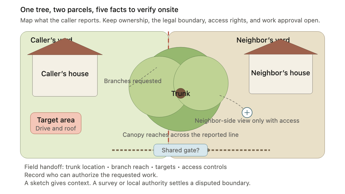Two residential parcels with a boundary tree, overlapping canopy, targets, gates, and safe photo positions