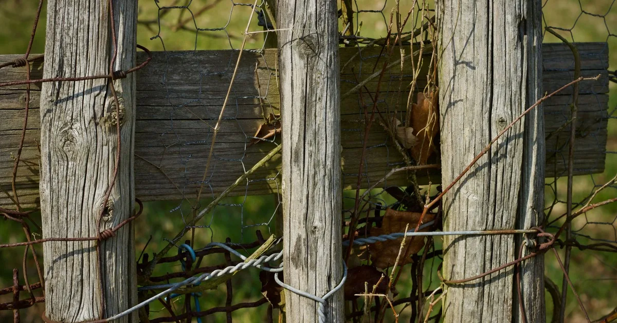 Close view of weathered wooden fence rails tied with old wire