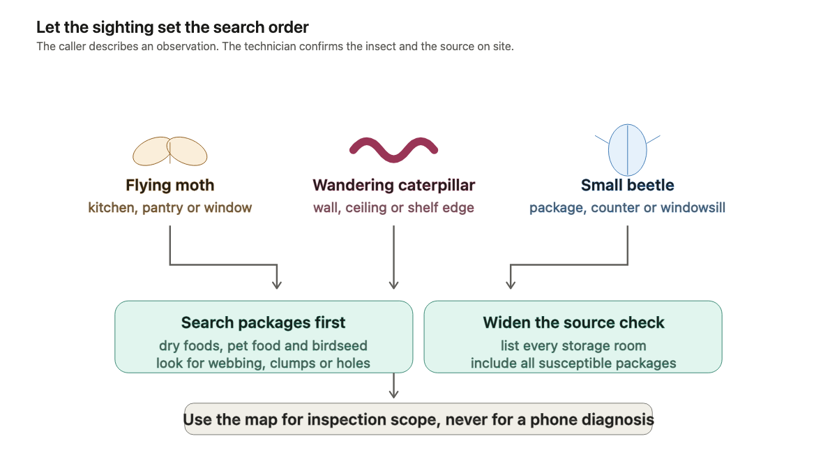 Observation map routing flying moth, wandering caterpillar, and small beetle reports to pantry inspection priorities