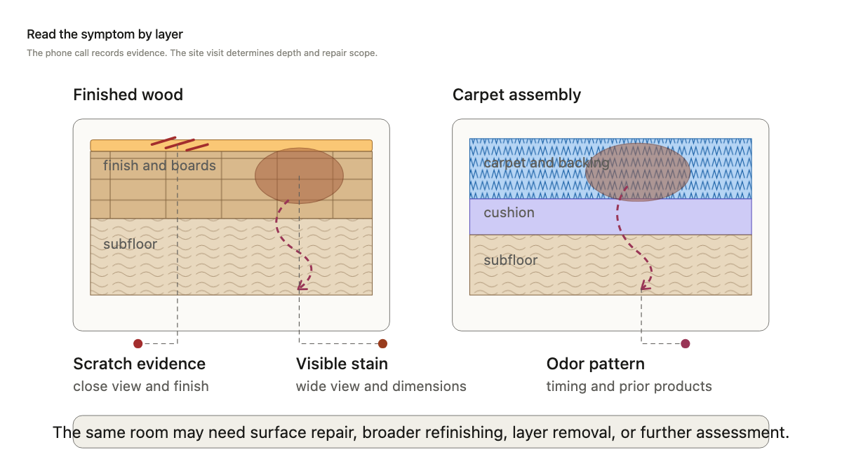 Cutaway comparing scratch, stain, and odor evidence across finished wood, carpet, cushion, and subfloor