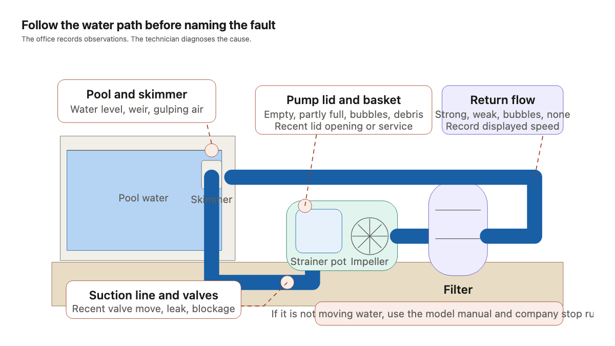 Pool circulation cutaway showing the skimmer, suction pipe, pump strainer, impeller, filter, and return flow