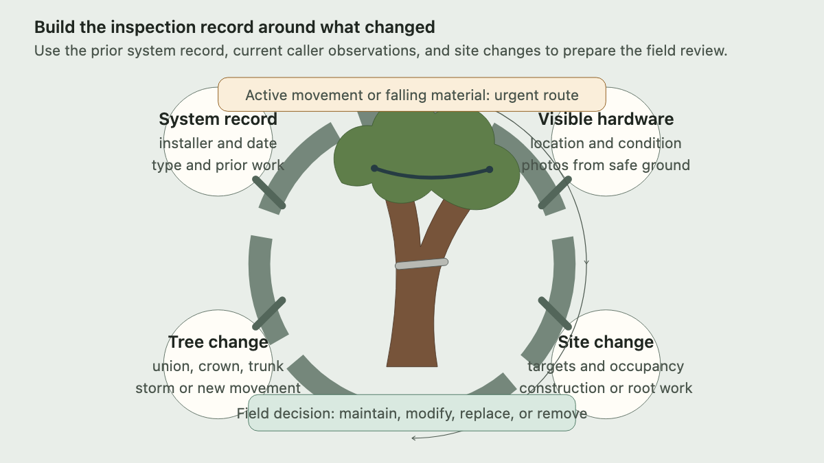 Circular inspection record around a supported tree covering system history, hardware, tree change, and site change
