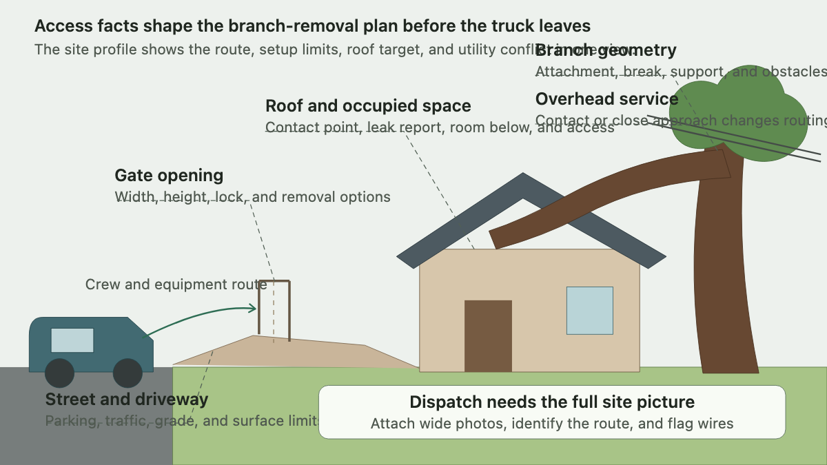 Side-lot profile showing a tree-service truck, driveway, gate, sloped yard, roof, overhanging branch, and service line