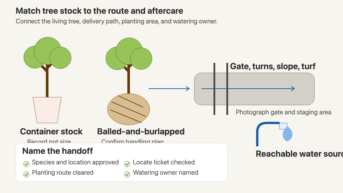 Container and balled-and-burlapped trees connected to a delivery gate, planting route, water source, and aftercare handoff