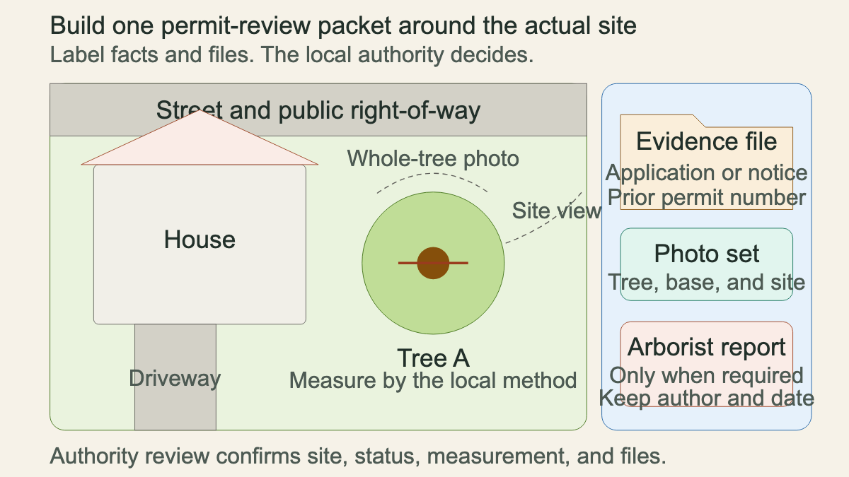 Tree permit application site plan and evidence packet