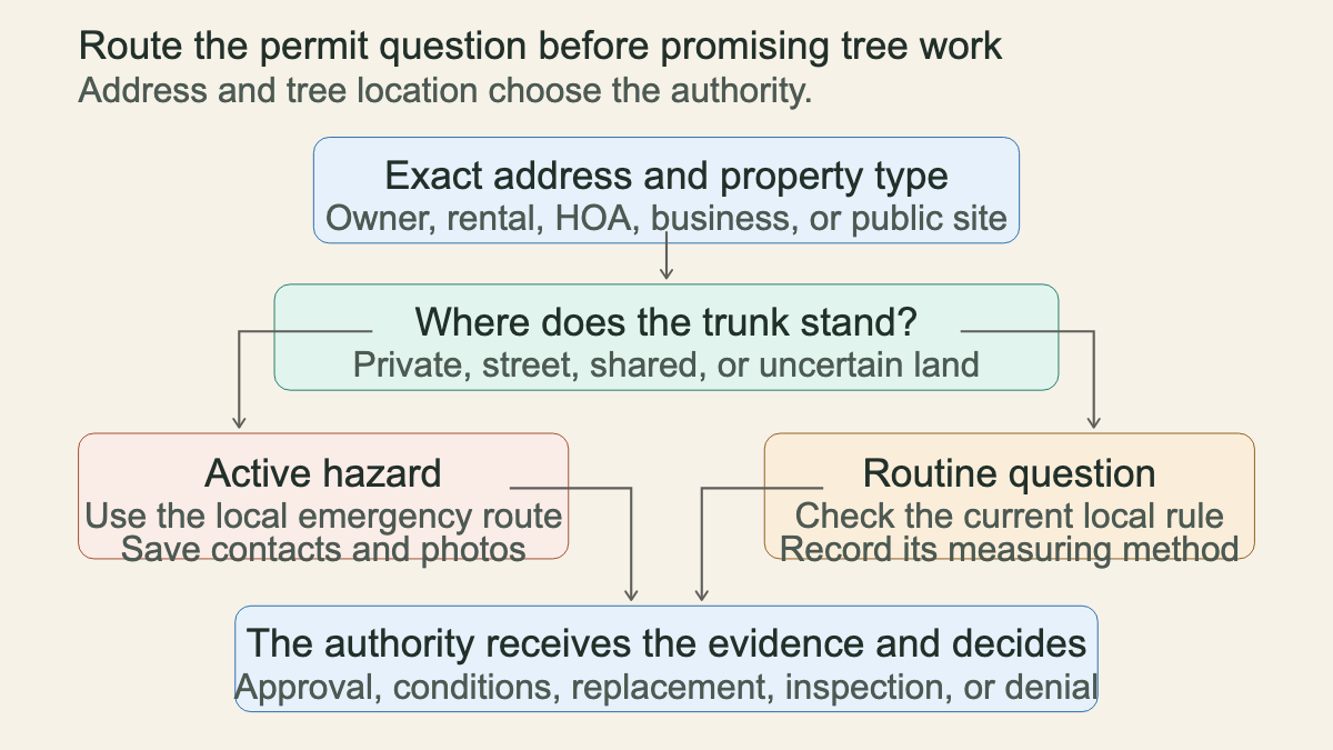 Decision route for tree removal permit questions