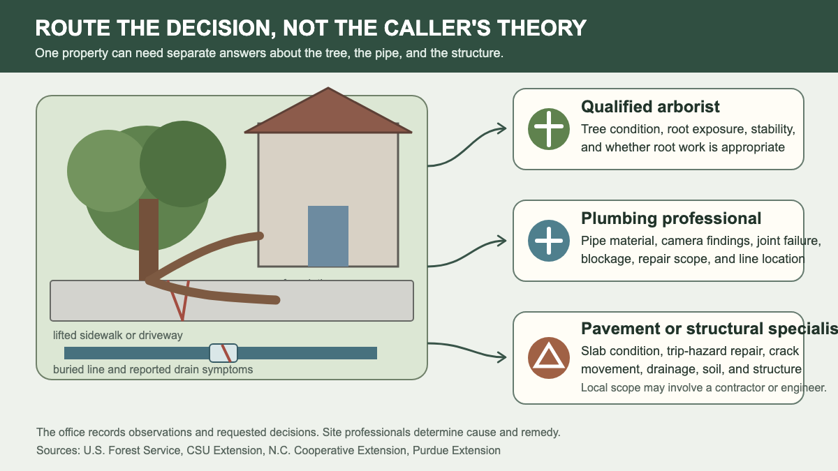 Property scene routing tree, pipe, pavement, and foundation questions to the right specialists