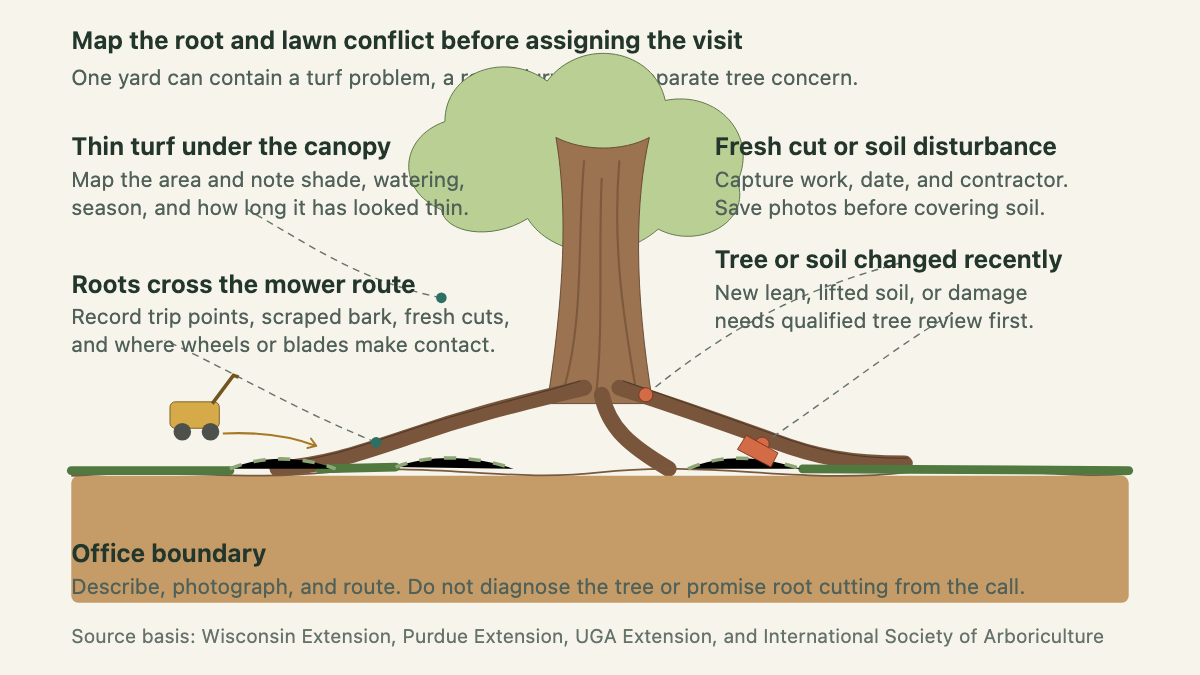Tree and lawn field map showing surface roots, thin turf, mower contact, and disturbed soil