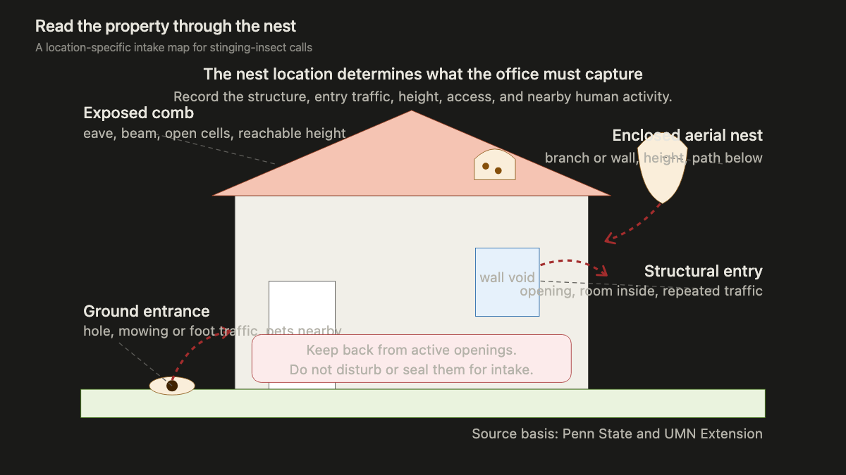House and yard section showing exposed comb, an enclosed aerial nest, structural entry traffic, and a ground nest entrance
