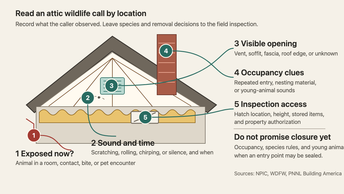 Attic cross-section linking wildlife clues at a room, vent, chimney, insulation, and access hatch to intake questions